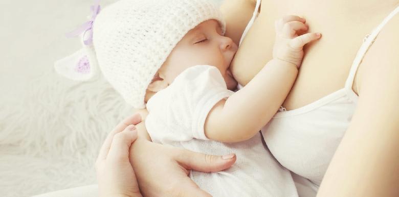 303_Fotolia_82912246_allaitement maternel